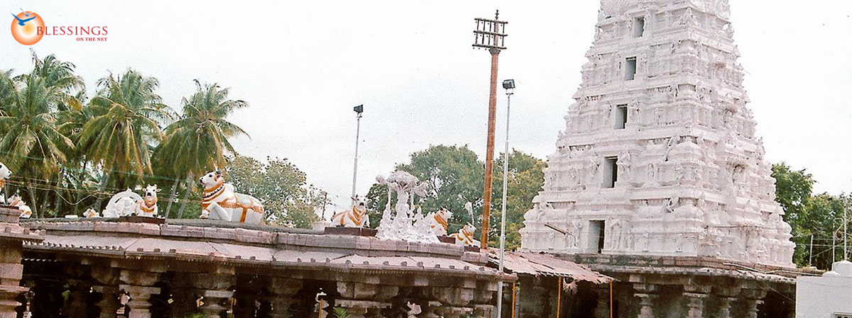Accomodation In Srisailam Mallikarjuna Srisailam Jyotirlinga