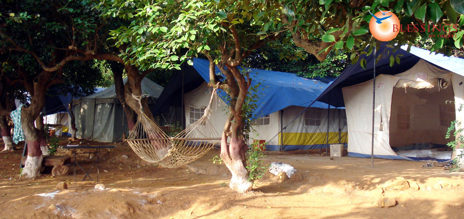 Koyna Backwater Camp