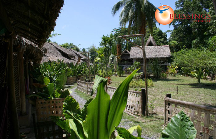 Wild Orchid Resort