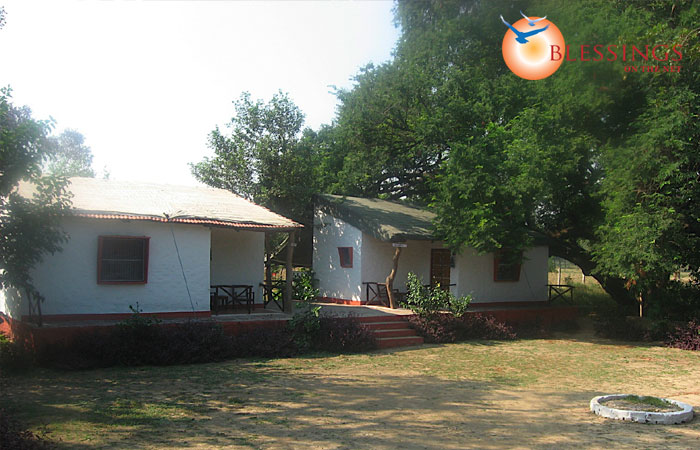 Chambal Safari Lodge