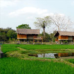 Diphlu River Lodge