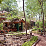 Nature Heritage Resort