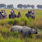 Kaziranga National Park