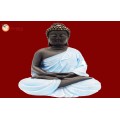 Buddha 30236﻿